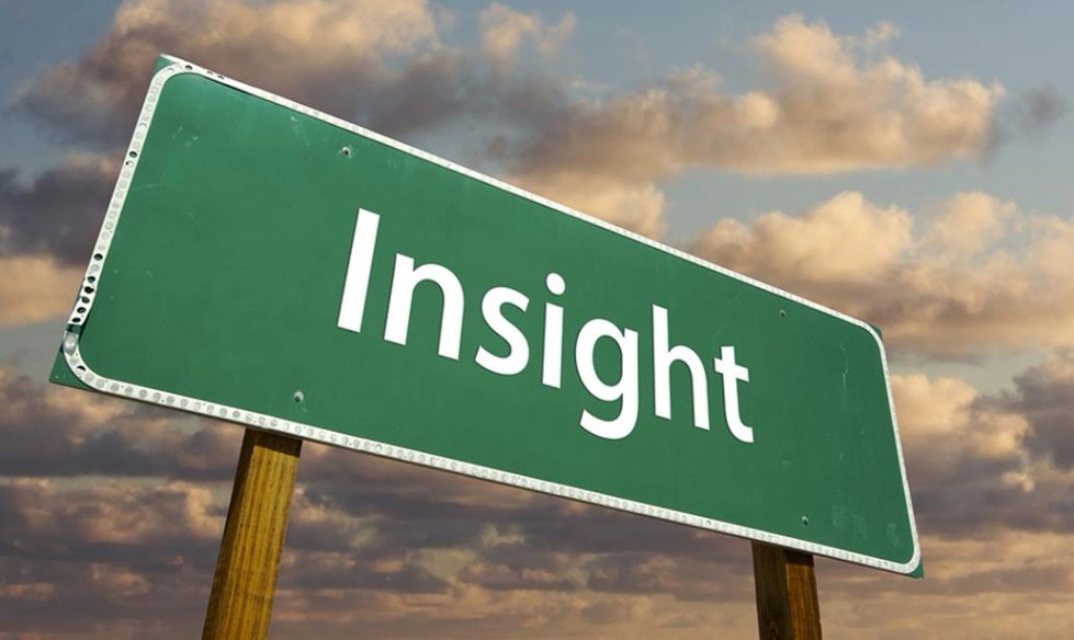 인사이트란?