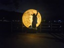 user-avatar
