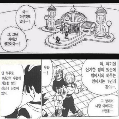 정신과 시간의 방, 그리고 무천도사