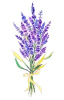 user-avatar