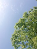 user-avatar