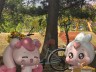 user-avatar