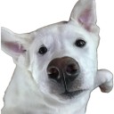 user-avatar