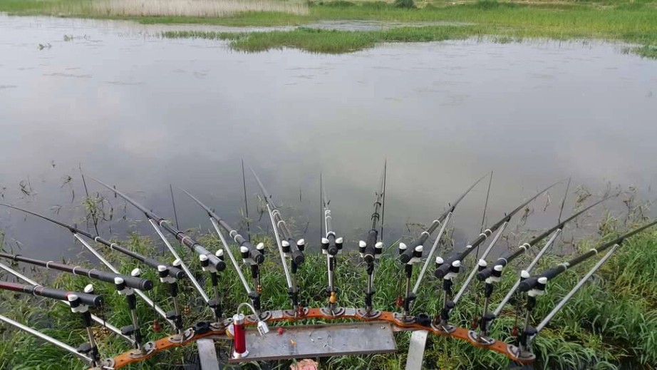 단 한번의 입질 (커뮤니티 - 자유게시판)