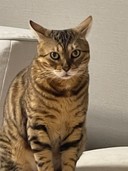 user-avatar