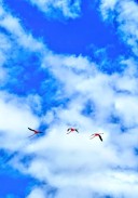 user-avatar