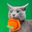 user-avatar