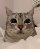 user-avatar