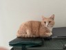user-avatar