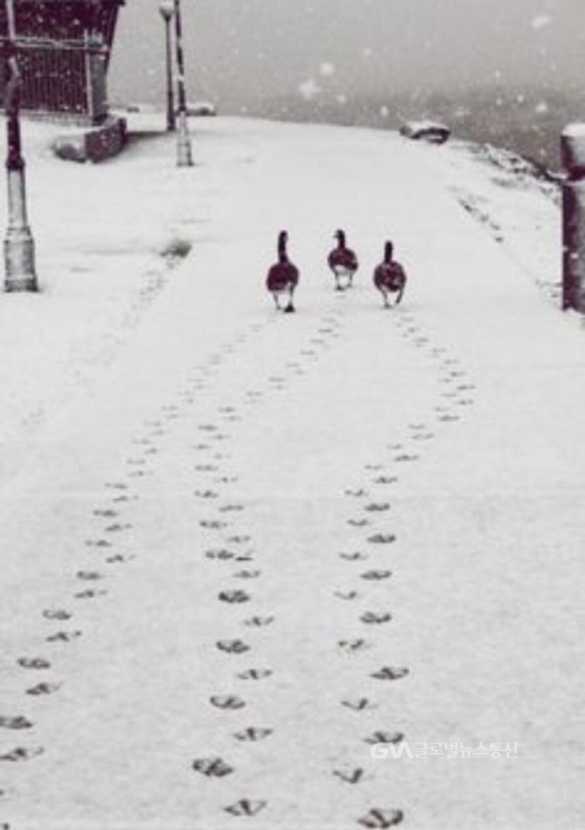사진 보고 한줄 시 쓰기 (3) < 포토뉴스 < 문화종합 < 문화 < 기사본문 - 글로벌뉴스통신GNA
