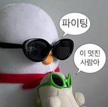 파이팅 넘치는 짤 모음집!!🔥🔥 . . . #공감짤#귀여운짤#인형짤 ...