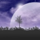 user-avatar