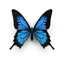 user-avatar