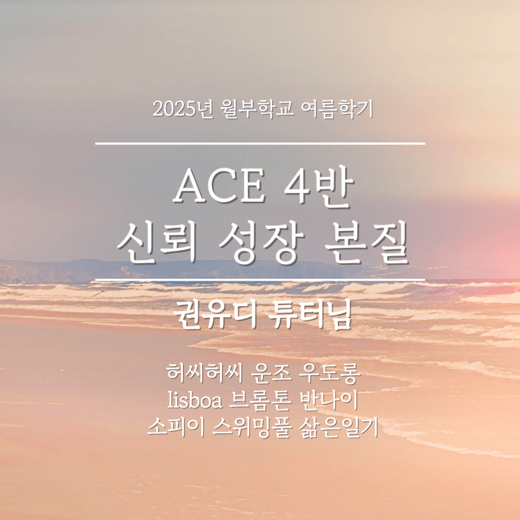 KakaoTalk_20250709_230843240.png