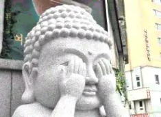 눈 가리는 짤에 대한 이미지 결과