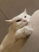 user-avatar