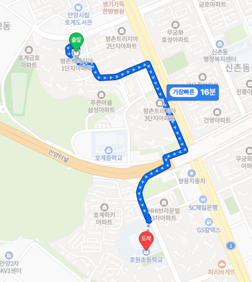 평촌 트리지아 학군