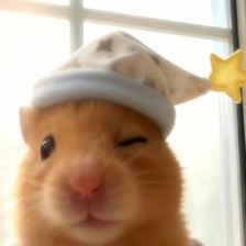 오늘 저장할 28 기세 아이디어 | 프로필 사진 아이디어, 웃긴 밈, 귀여운 사랑 밈 등