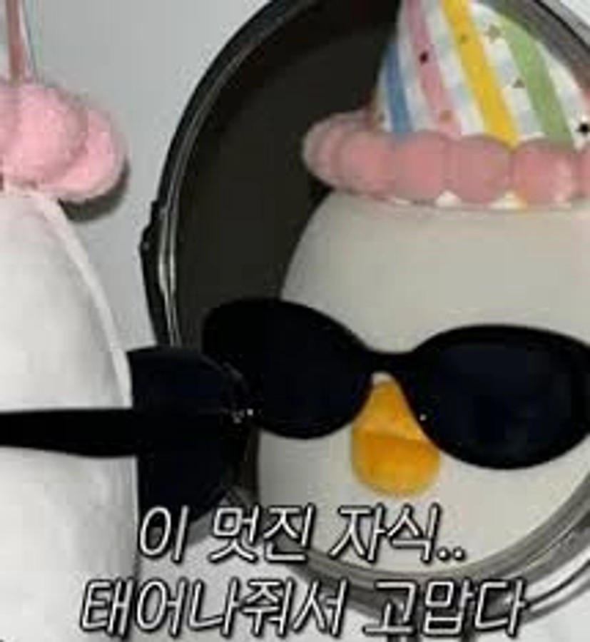 재미있는 프로필 사진: 이 Pinterest 보드에서 13 베베더오리 아이디어 찾기 | 프로필 사진 아이디어, 귀여운 프로필 사진 등