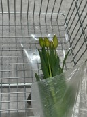 user-avatar