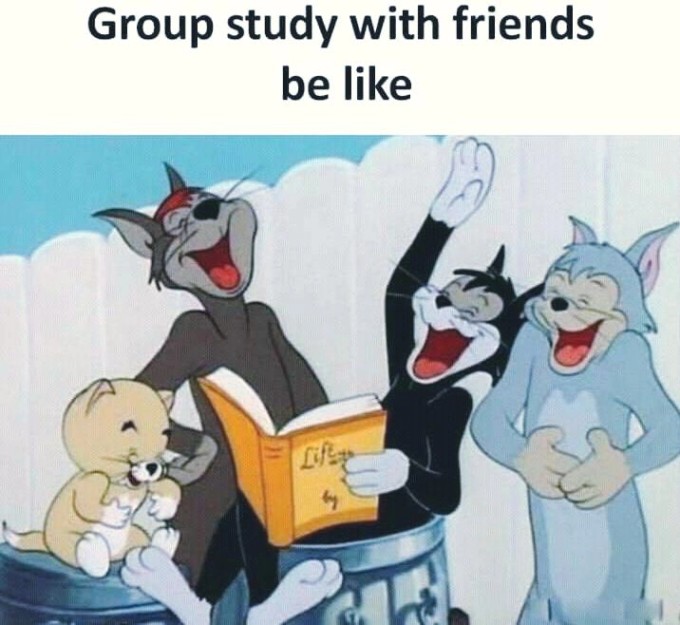 Group Study in 2025 | Funny images laughter, Fun quotes funny, Funny memes