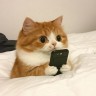 user-avatar
