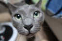 user-avatar