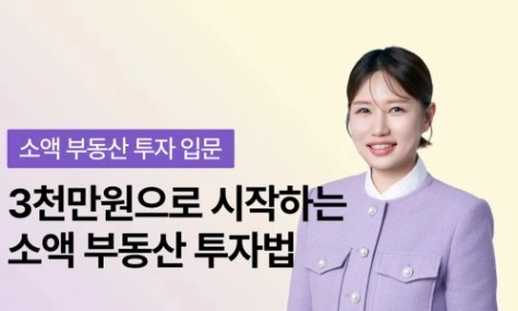 [12월 최신 업데이트] 3000만원으로 시작하는 소액 부동산 투자법 | 월급쟁이부자들