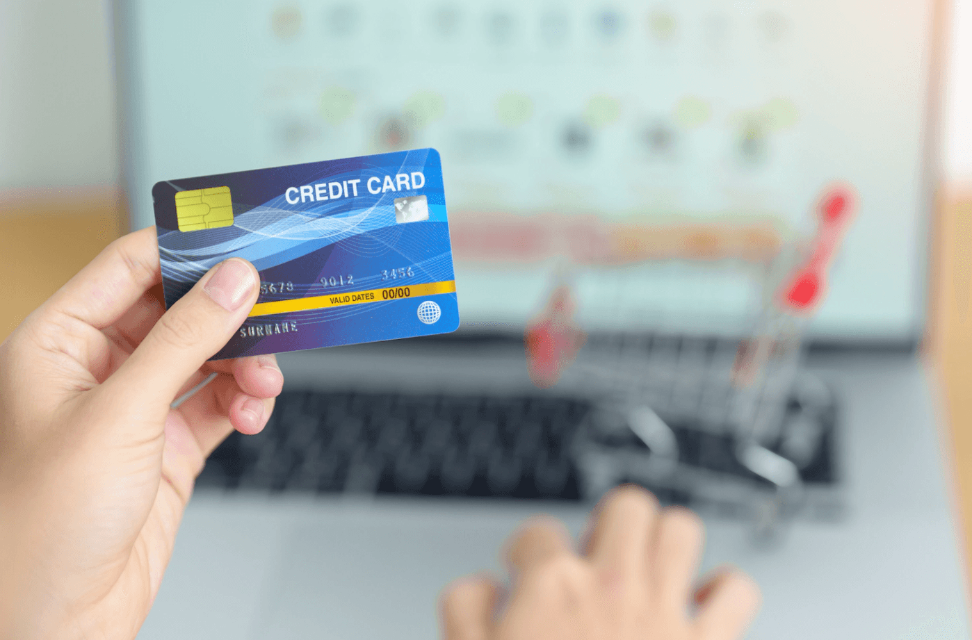 신용카드 사용 입력