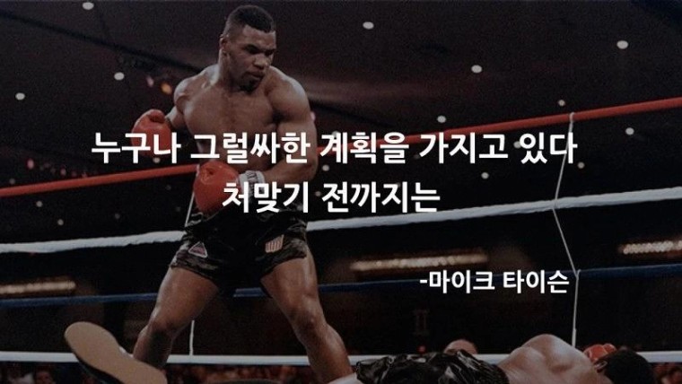 누구나 그럴싸한 계획을 갖고 있다 - 에누리 쇼핑지식 자유게시판
