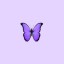 프로필 사진-나비 🦋