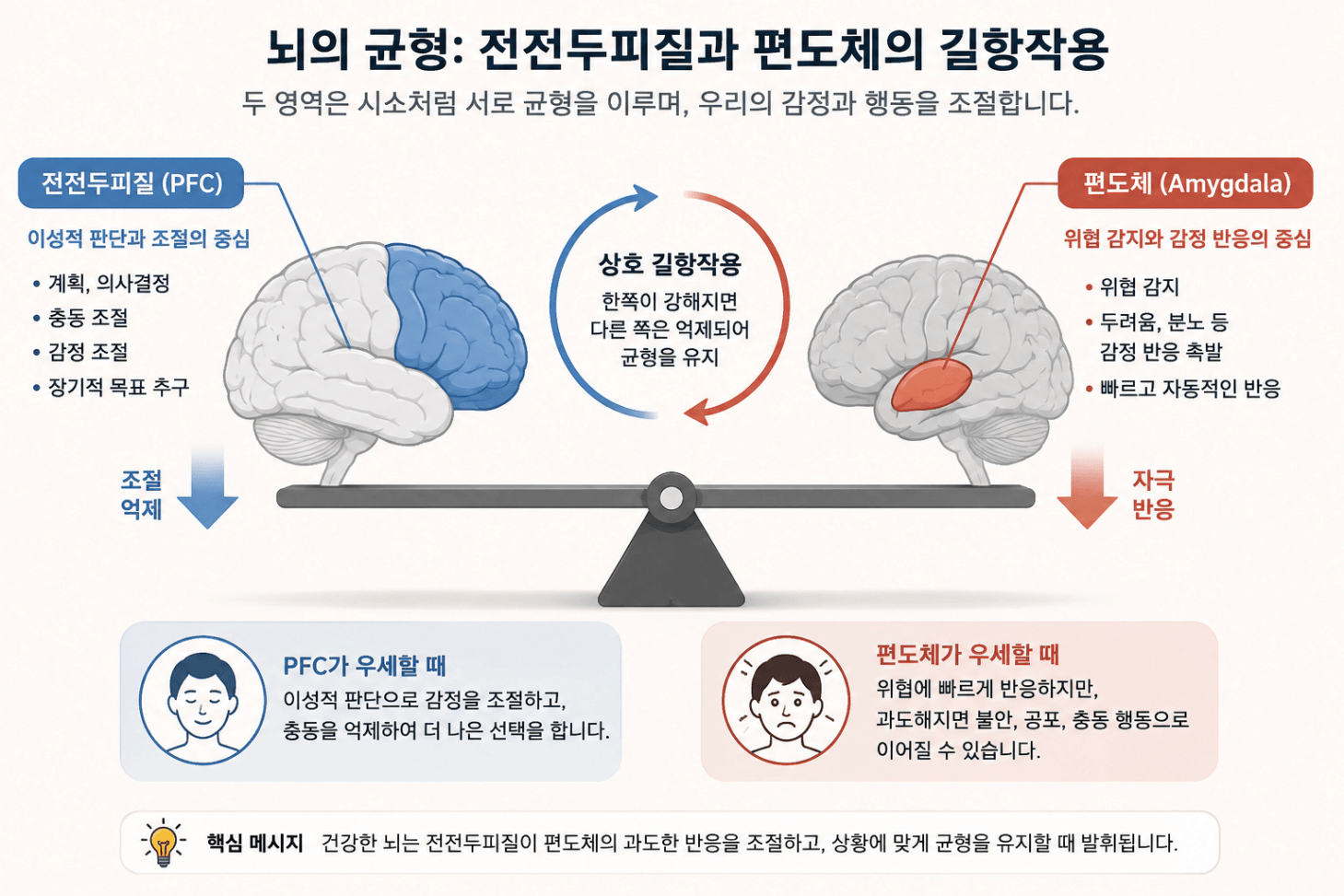 전전두피질_편도체_길항.png