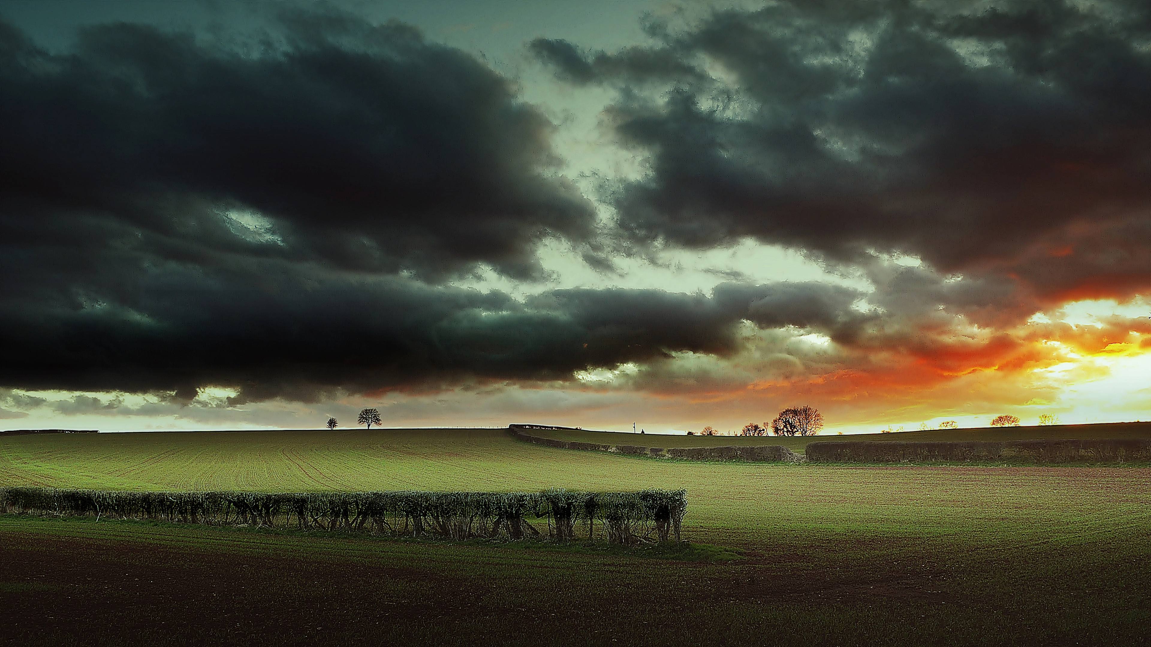 thumb-지금 아무 일도 안 일어난다면, 오히려 제대로 가고 있는 걸까?