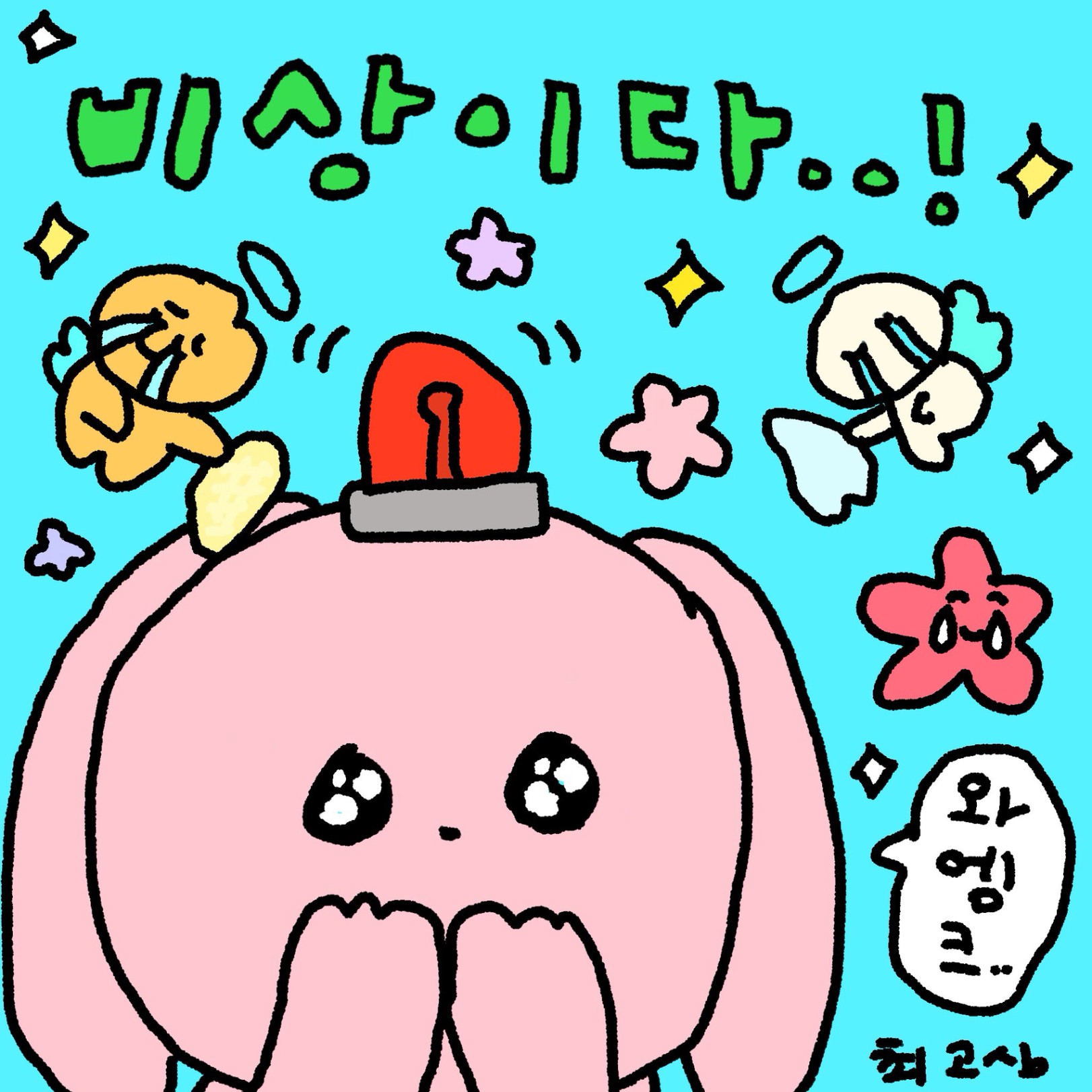 이미지