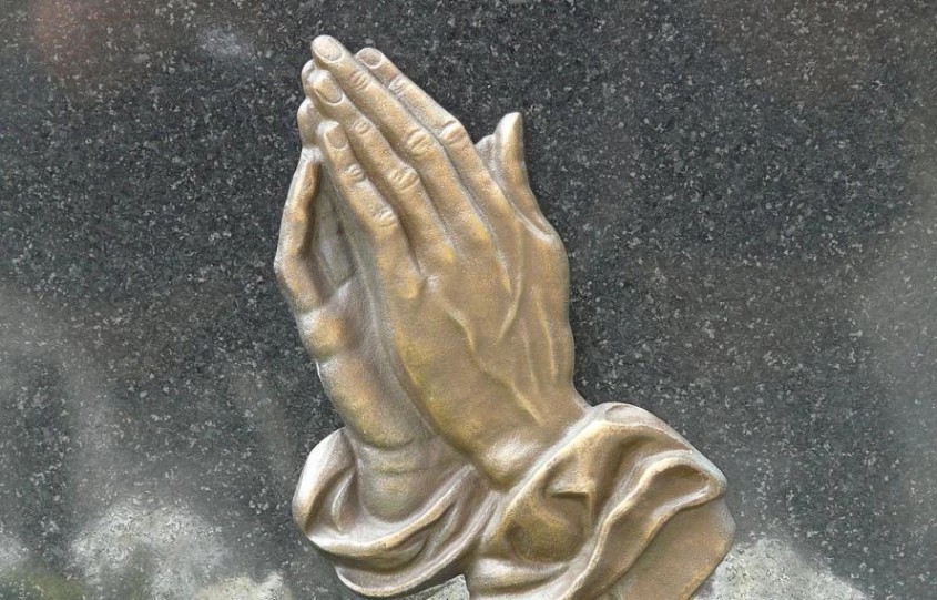 MEDI:GATE NEWS : 동료·펠로우·분노…그래서 더 간절하다