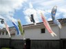 user-avatar
