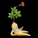 user-avatar
