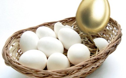 종목 5개 늘리면 리스크 30% 감소 < Stock < Money < 기사본문 - 더스쿠프