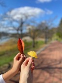 user-avatar