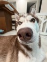 user-avatar