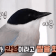 까치🐦⬛튜터님과 함께한 8월 돈독모 후기 (함께하는가치)