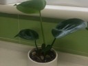 user-avatar