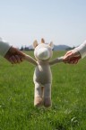 user-avatar