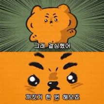 살아라…그대는..그뭐냐..그거다 😠!!!!!! #무직타이거 #뚱랑이 #짤방