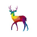 user-avatar