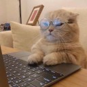 user-avatar