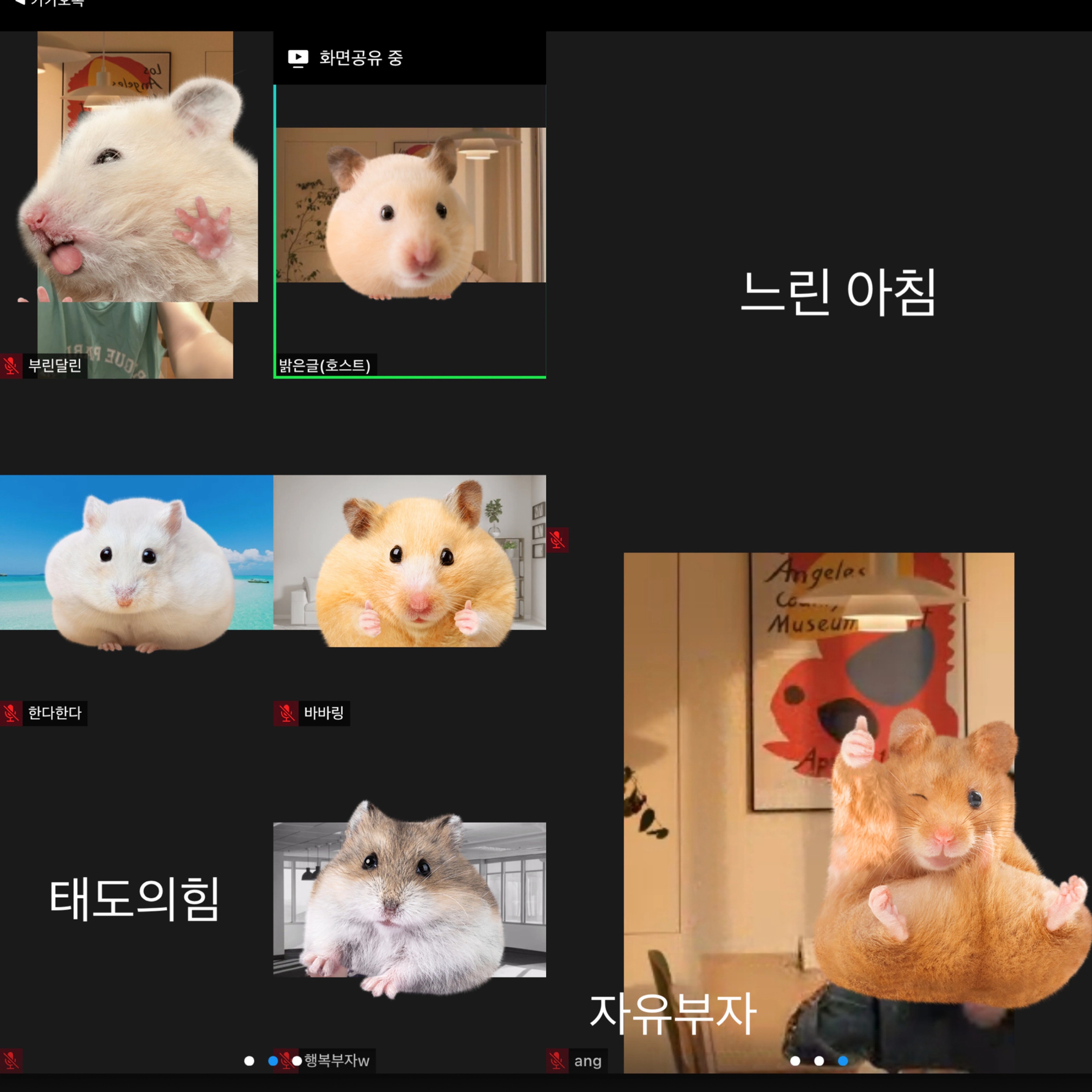 content thumbnail