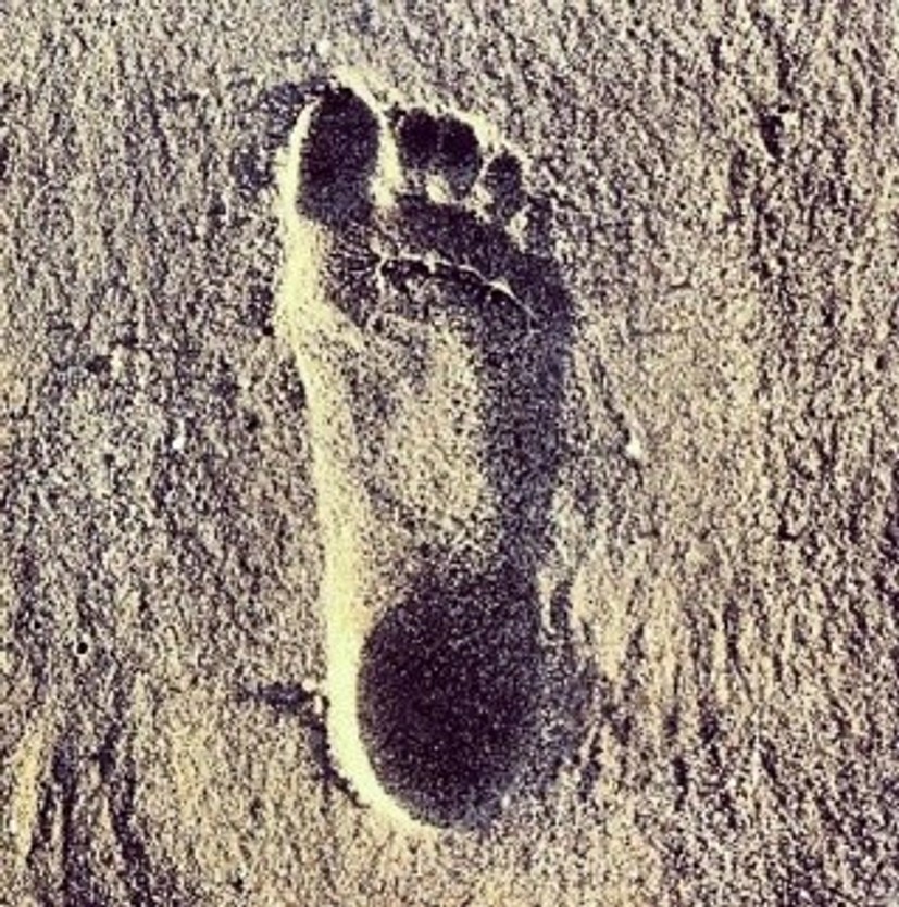 LAS IMPRONTAS EMOCIONALES Y LAS PERSONAS P.A.S.