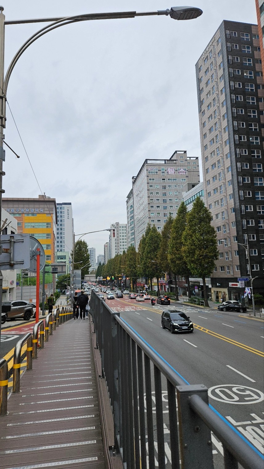 걸어가는 우리 조원들 힘듬이 보이는가?