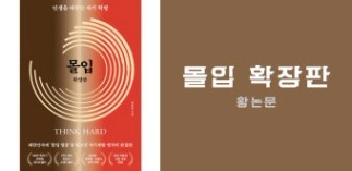몰입 확장판